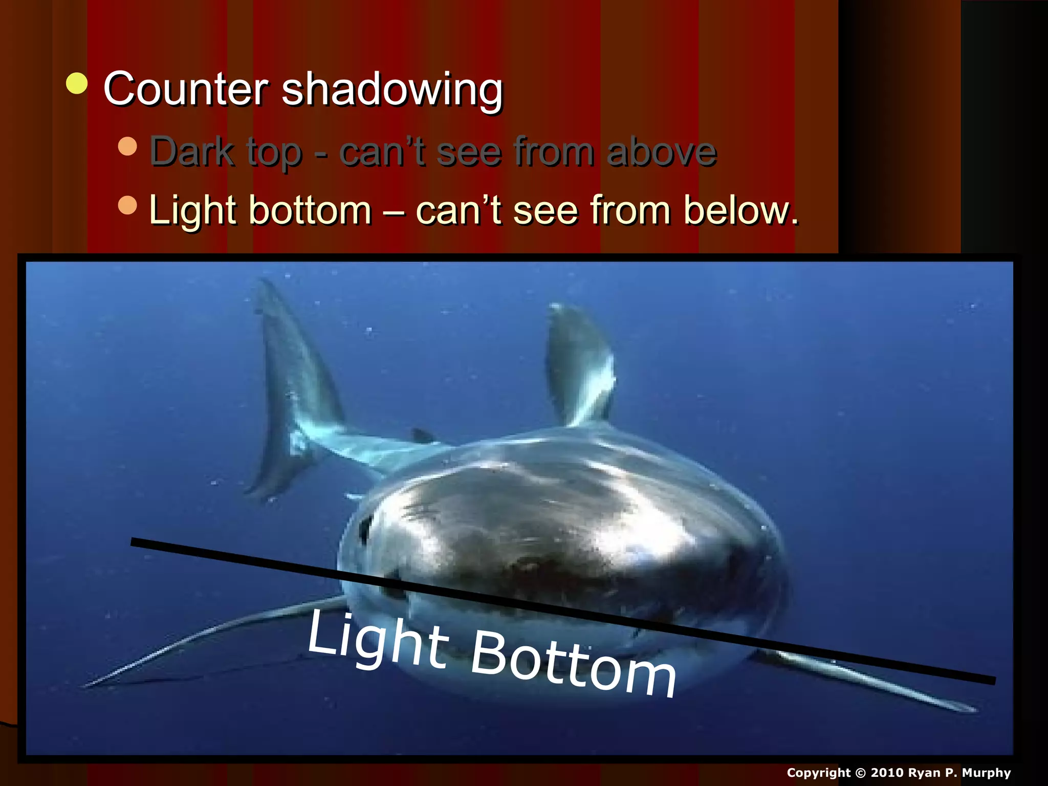 Counter shadowingCounter shadowing
Dark top - can’t see from aboveDark top - can’t see from above
Light bottom – can’t see from below.Light bottom – can’t see from below.
Light Bottom
Copyright © 2010 Ryan P. Murphy
 
