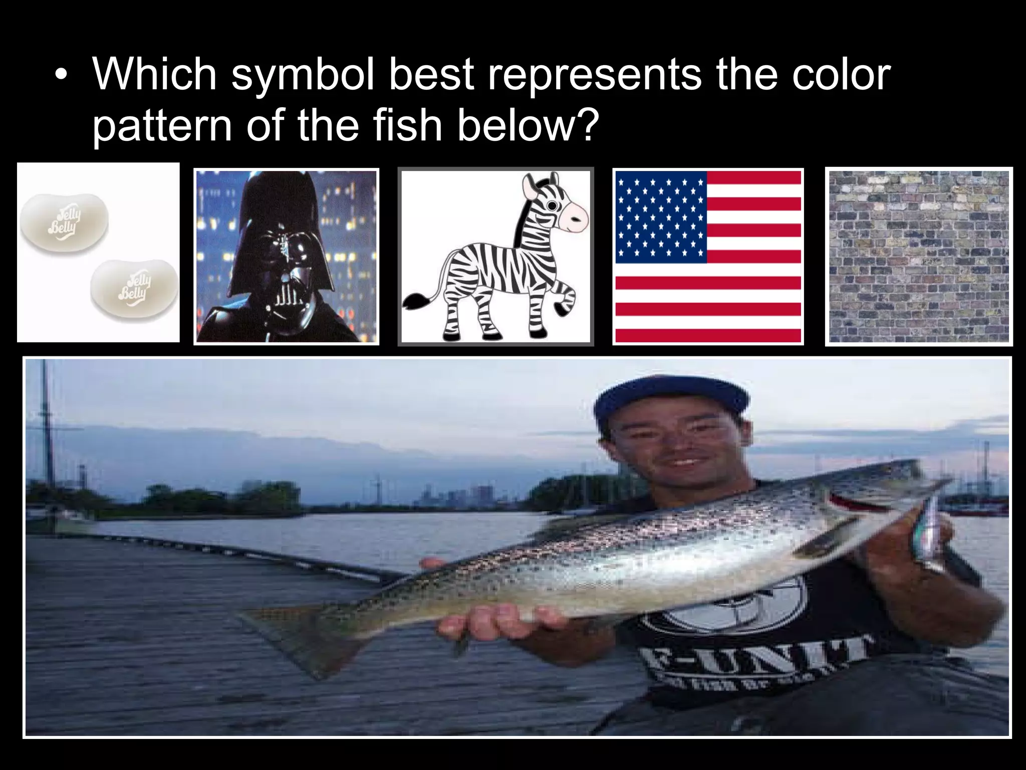• Which symbol best represents the color
pattern of the fish below?
 