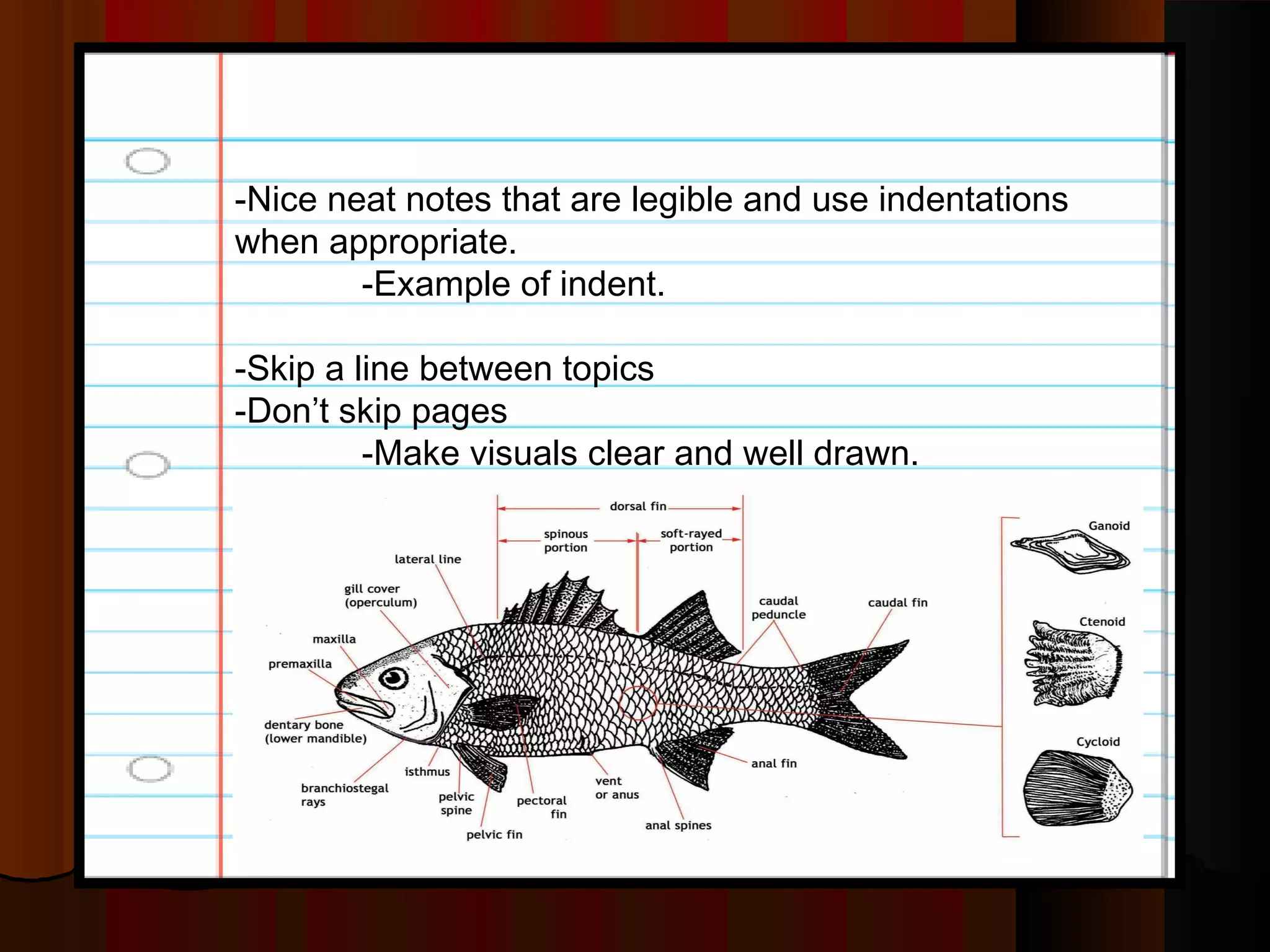-Nice neat notes that are legible and use indentations
when appropriate.
-Example of indent.
-Skip a line between topics
-Don’t skip pages
-Make visuals clear and well drawn.
 