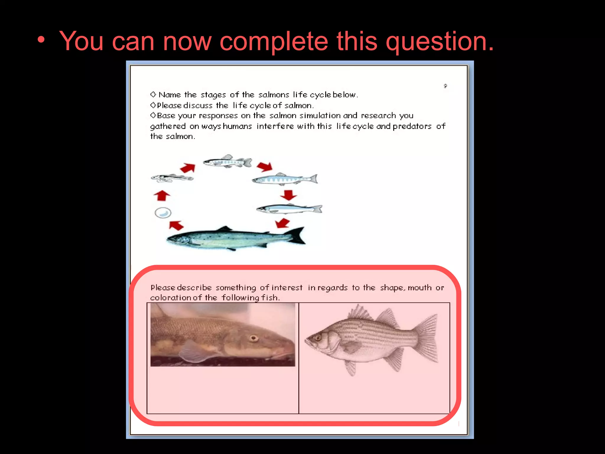 • You can now complete this question.
 