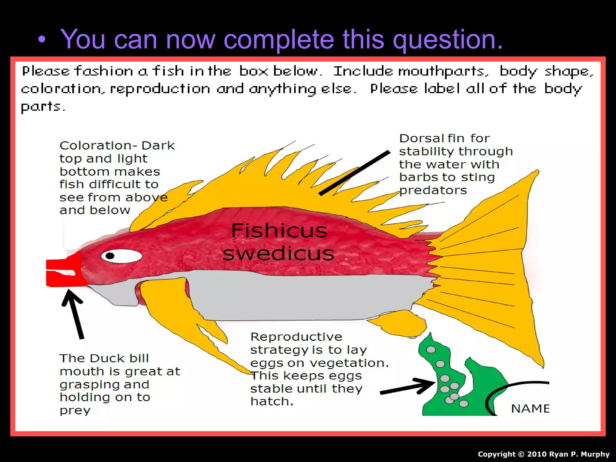 • You can now complete this question.
Copyright © 2010 Ryan P. Murphy
 