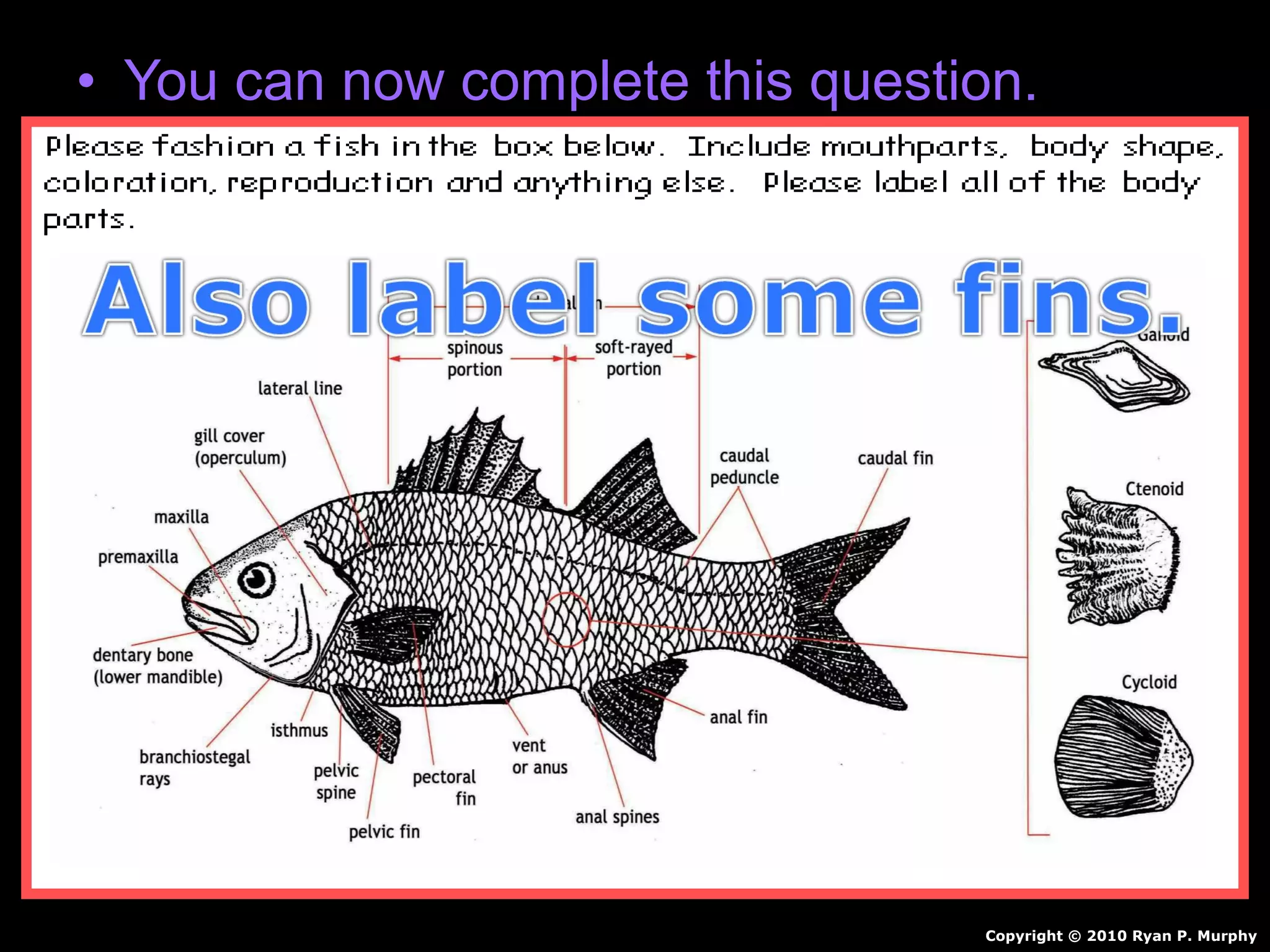 • You can now complete this question.
Copyright © 2010 Ryan P. Murphy
 