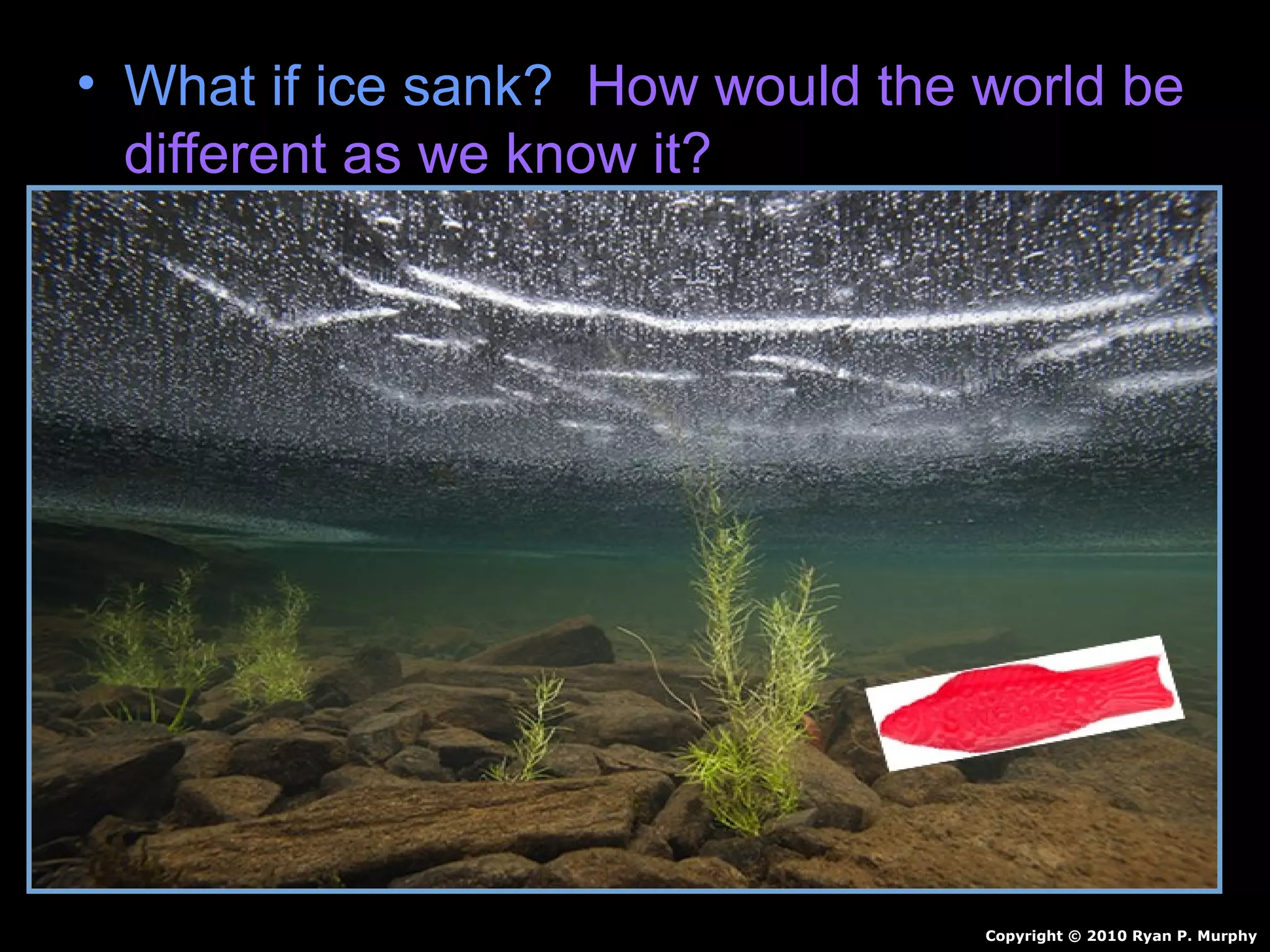 • What if ice sank? How would the world be
different as we know it?
Copyright © 2010 Ryan P. Murphy
 