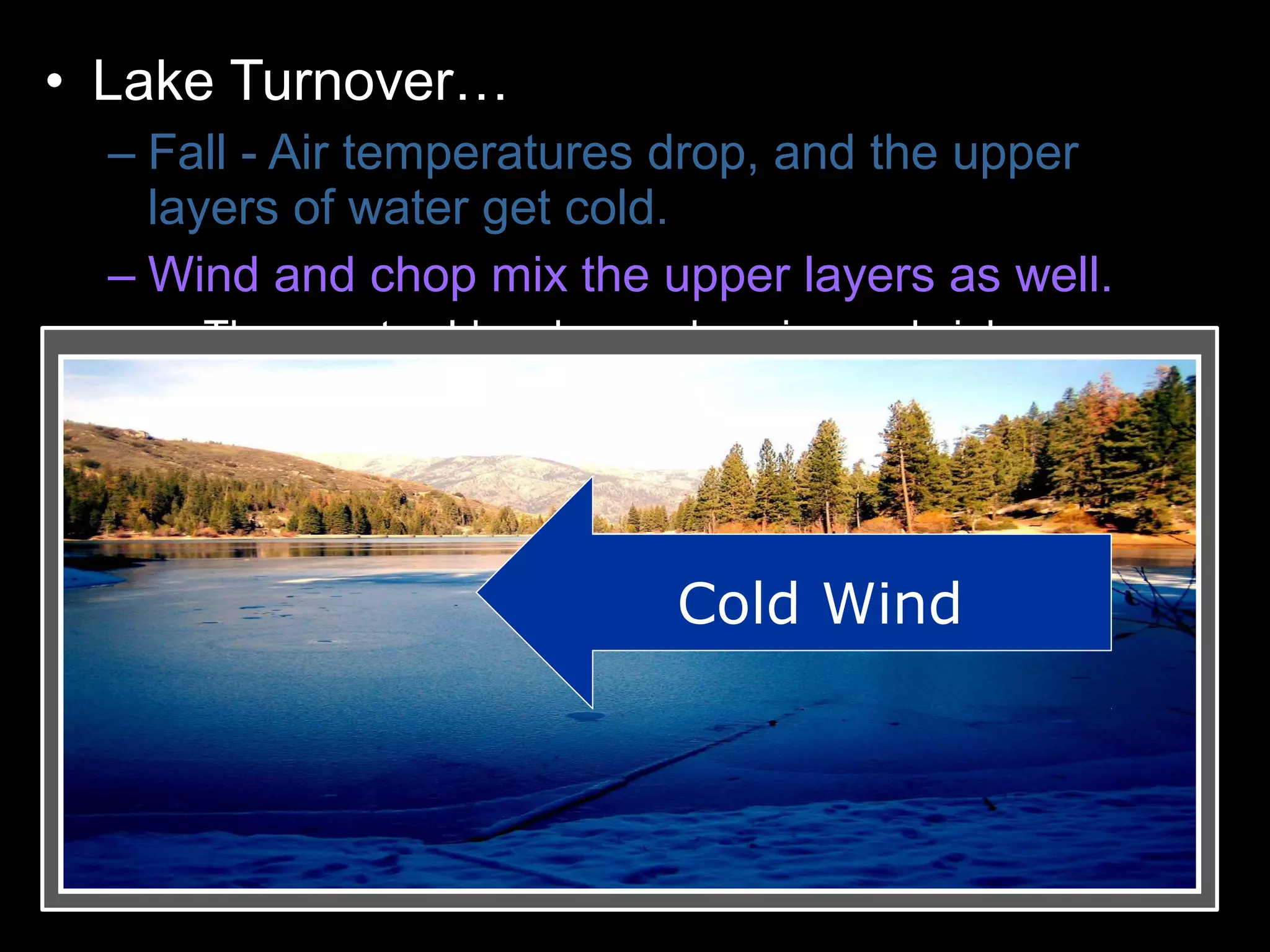 • Lake Turnover…
– Fall - Air temperatures drop, and the upper
layers of water get cold.
– Wind and chop mix the upper layers as well.
• These get colder, denser, heavier, and sink.
– Colder water displaces the water the lake
bottom forcing the lower layers to the surface.
– Winter - Ice forms layer over water. Lake
becomes layered
– Spring – Melting ice causes water to sink and
mixes layers
– Summer – Warm temperatures cause layering .
Cold Wind
 