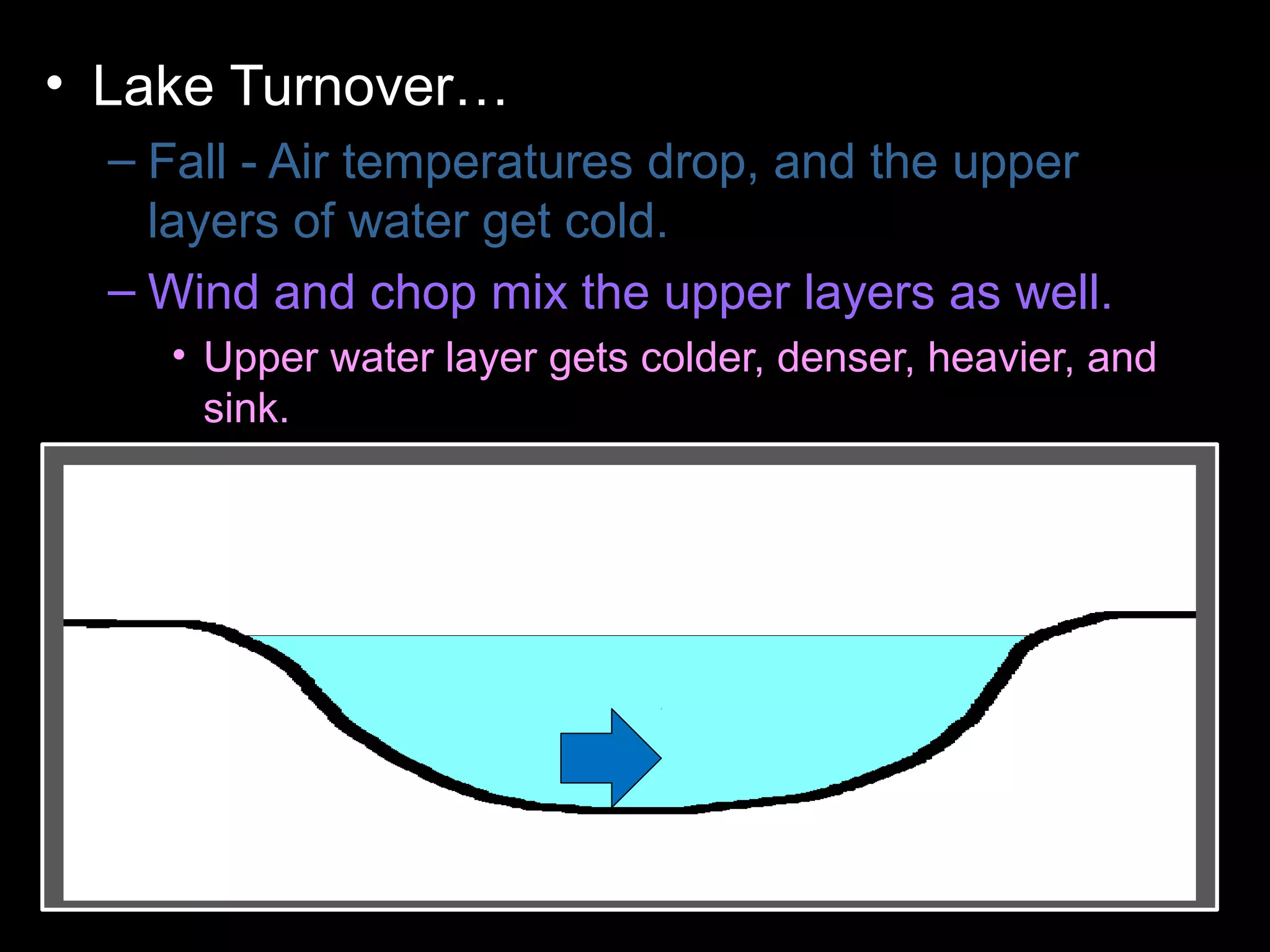 • Lake Turnover…
– Fall - Air temperatures drop, and the upper
layers of water get cold.
– Wind and chop mix the upper layers as well.
• Upper water layer gets colder, denser, heavier, and
sink.
– Colder water displaces the water the lake
bottom forcing the lower layers to the surface.
– Winter - Ice forms layer over water. Lake
becomes layered
– Spring – Melting ice causes water to sink and
mixes layers
– Summer – Warm temperatures cause layering .
 