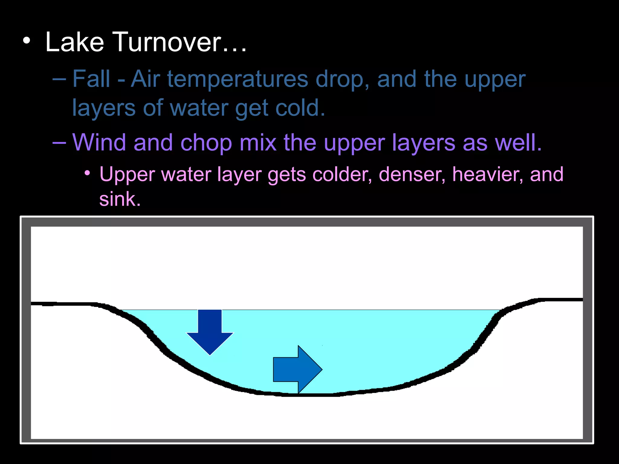 • Lake Turnover…
– Fall - Air temperatures drop, and the upper
layers of water get cold.
– Wind and chop mix the upper layers as well.
• Upper water layer gets colder, denser, heavier, and
sink.
– Colder water displaces the water the lake
bottom forcing the lower layers to the surface.
– Winter - Ice forms layer over water. Lake
becomes layered
– Spring – Melting ice causes water to sink and
mixes layers
– Summer – Warm temperatures cause layering .
 