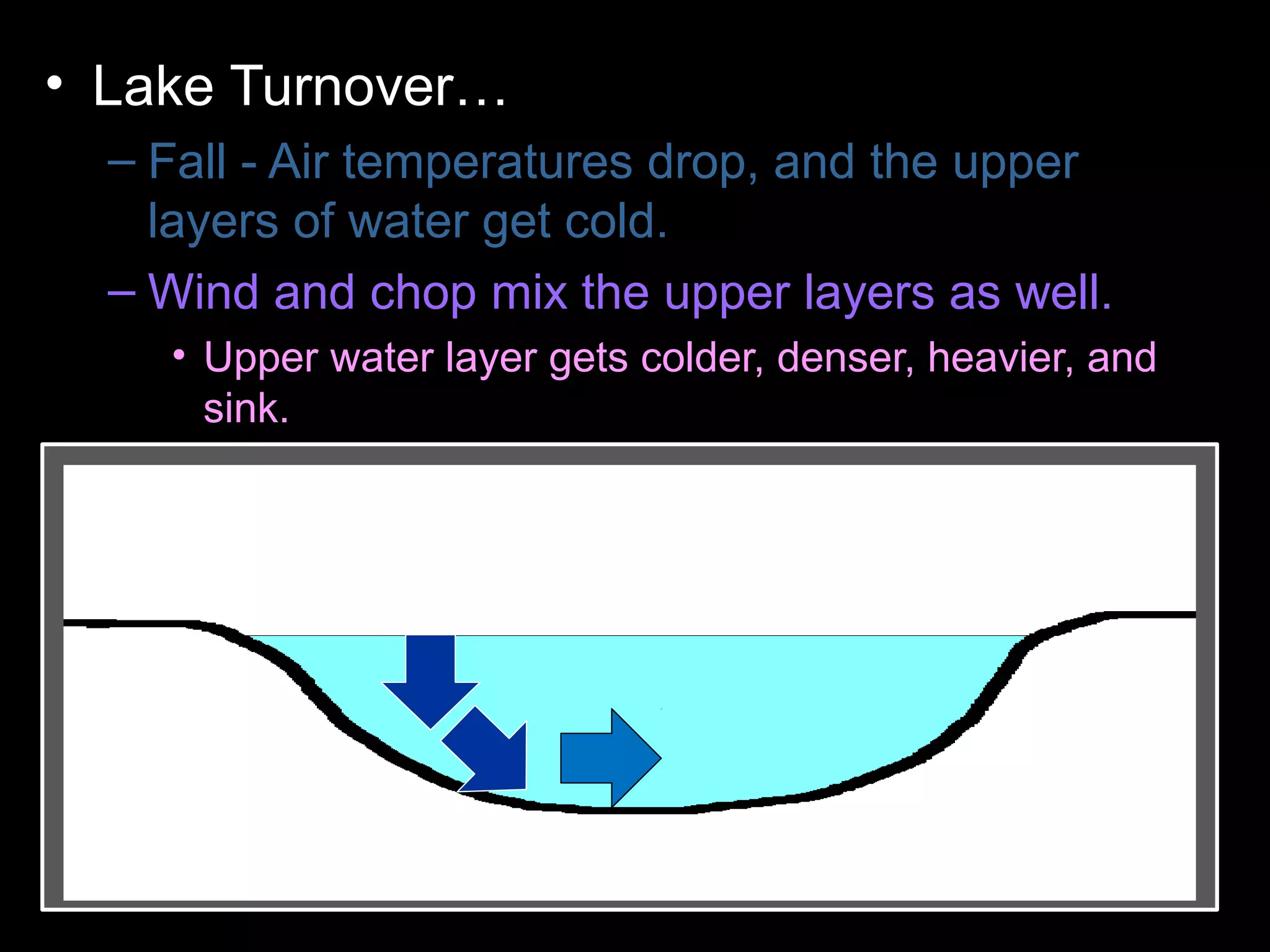 • Lake Turnover…
– Fall - Air temperatures drop, and the upper
layers of water get cold.
– Wind and chop mix the upper layers as well.
• Upper water layer gets colder, denser, heavier, and
sink.
– Colder water displaces the water the lake
bottom forcing the lower layers to the surface.
– Winter - Ice forms layer over water. Lake
becomes layered
– Spring – Melting ice causes water to sink and
mixes layers
– Summer – Warm temperatures cause layering .
 