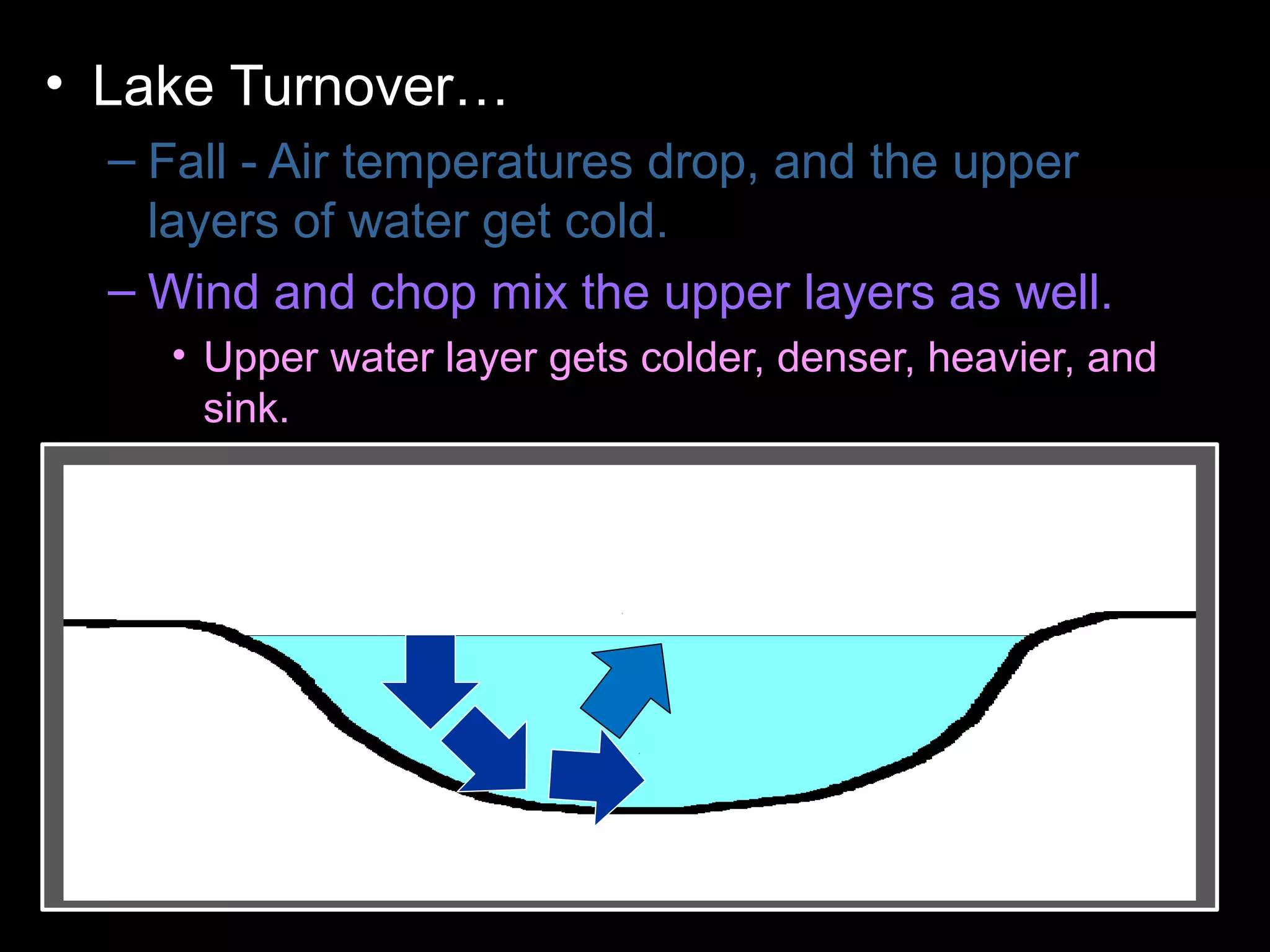 • Lake Turnover…
– Fall - Air temperatures drop, and the upper
layers of water get cold.
– Wind and chop mix the upper layers as well.
• Upper water layer gets colder, denser, heavier, and
sink.
– Colder water displaces the water the lake
bottom forcing the lower layers to the surface.
– Winter - Ice forms layer over water. Lake
becomes layered
– Spring – Melting ice causes water to sink and
mixes layers
– Summer – Warm temperatures cause layering .
 