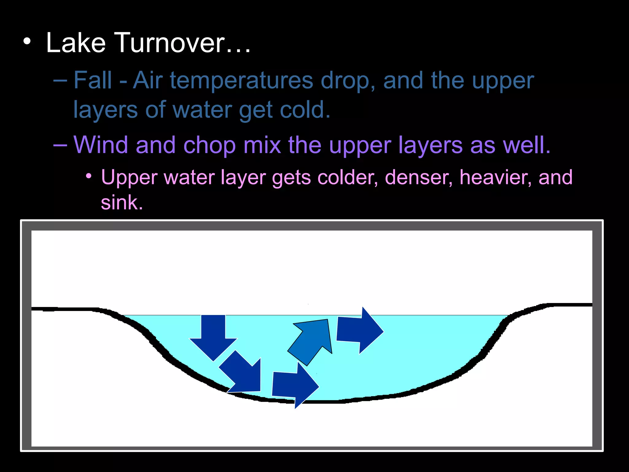• Lake Turnover…
– Fall - Air temperatures drop, and the upper
layers of water get cold.
– Wind and chop mix the upper layers as well.
• Upper water layer gets colder, denser, heavier, and
sink.
– Colder water displaces the water the lake
bottom forcing the lower layers to the surface.
– Winter - Ice forms layer over water. Lake
becomes layered
– Spring – Melting ice causes water to sink and
mixes layers
– Summer – Warm temperatures cause layering .
 