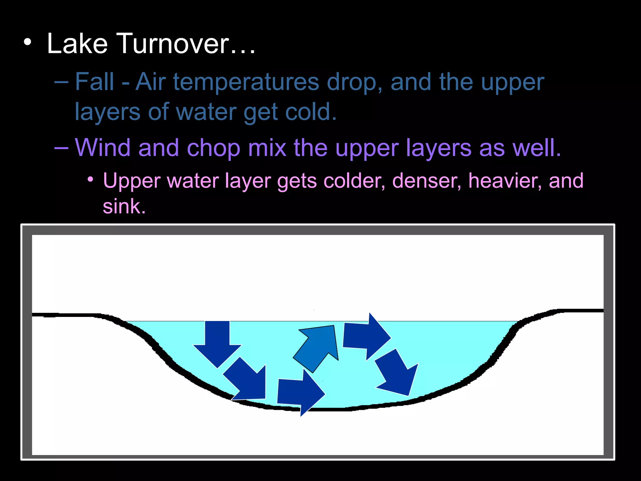 • Lake Turnover…
– Fall - Air temperatures drop, and the upper
layers of water get cold.
– Wind and chop mix the upper layers as well.
• Upper water layer gets colder, denser, heavier, and
sink.
– Colder water displaces the water the lake
bottom forcing the lower layers to the surface.
– Winter - Ice forms layer over water. Lake
becomes layered
– Spring – Melting ice causes water to sink and
mixes layers
– Summer – Warm temperatures cause layering .
 