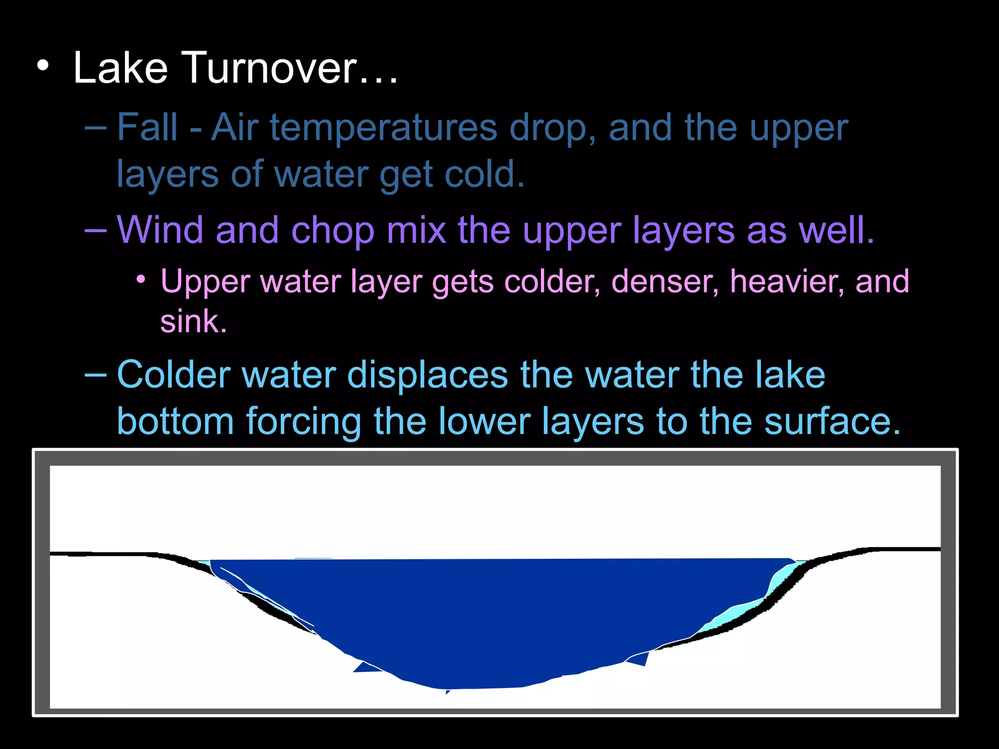 • Lake Turnover…
– Fall - Air temperatures drop, and the upper
layers of water get cold.
– Wind and chop mix the upper layers as well.
• Upper water layer gets colder, denser, heavier, and
sink.
– Colder water displaces the water the lake
bottom forcing the lower layers to the surface.
– Winter - Ice forms layer over water. Lake
becomes layered
– Spring – Melting ice causes water to sink and
mixes layers
– Summer – Warm temperatures cause layering .
 
