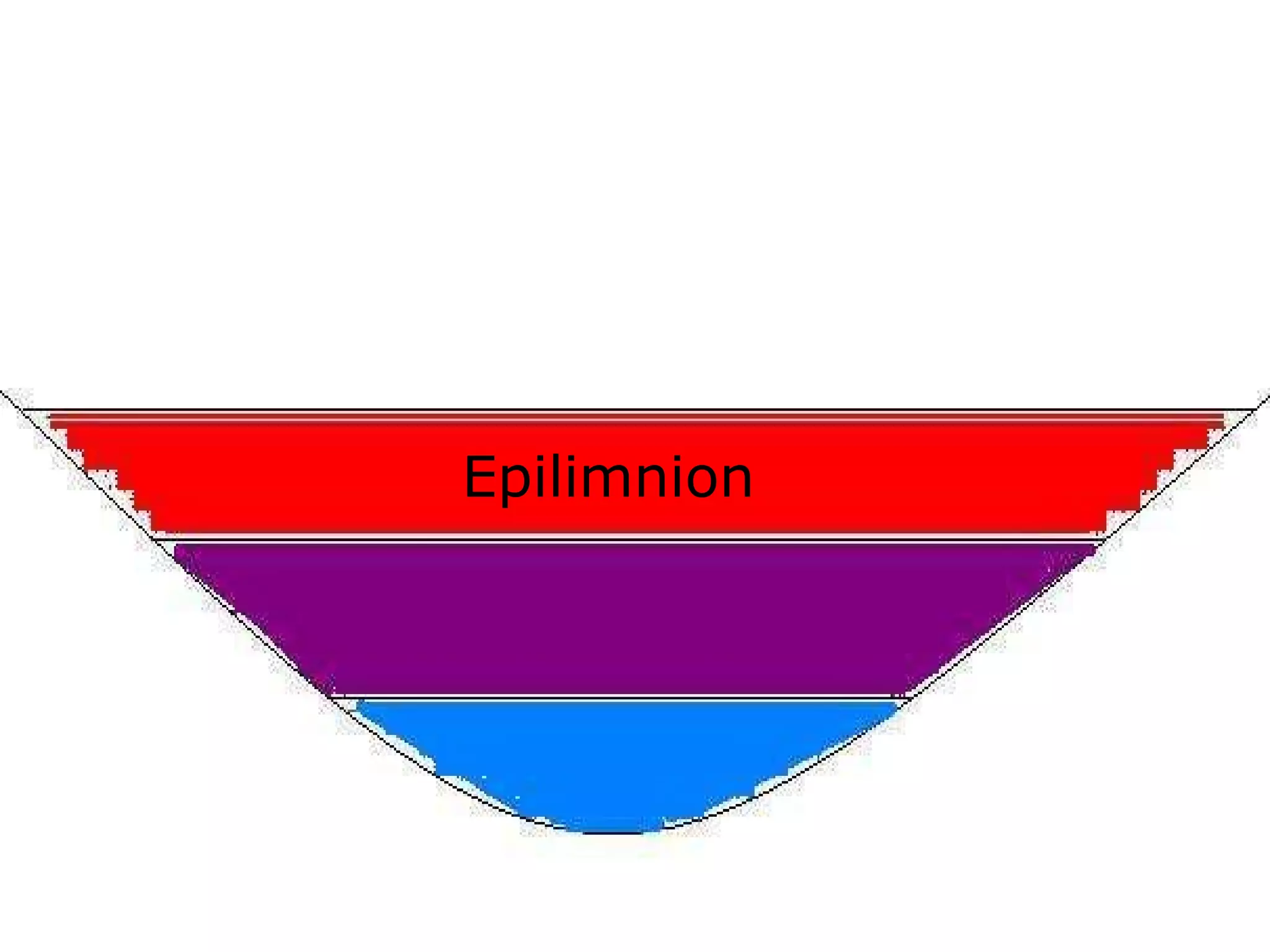 Epilimnion
 