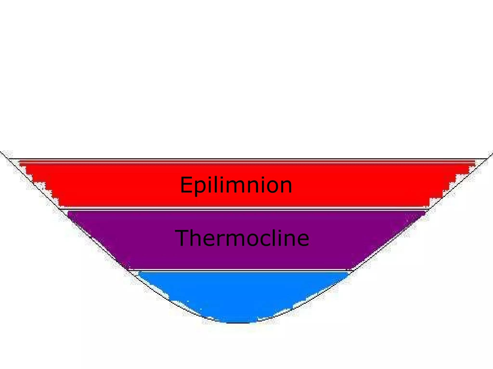Epilimnion
Thermocline
 