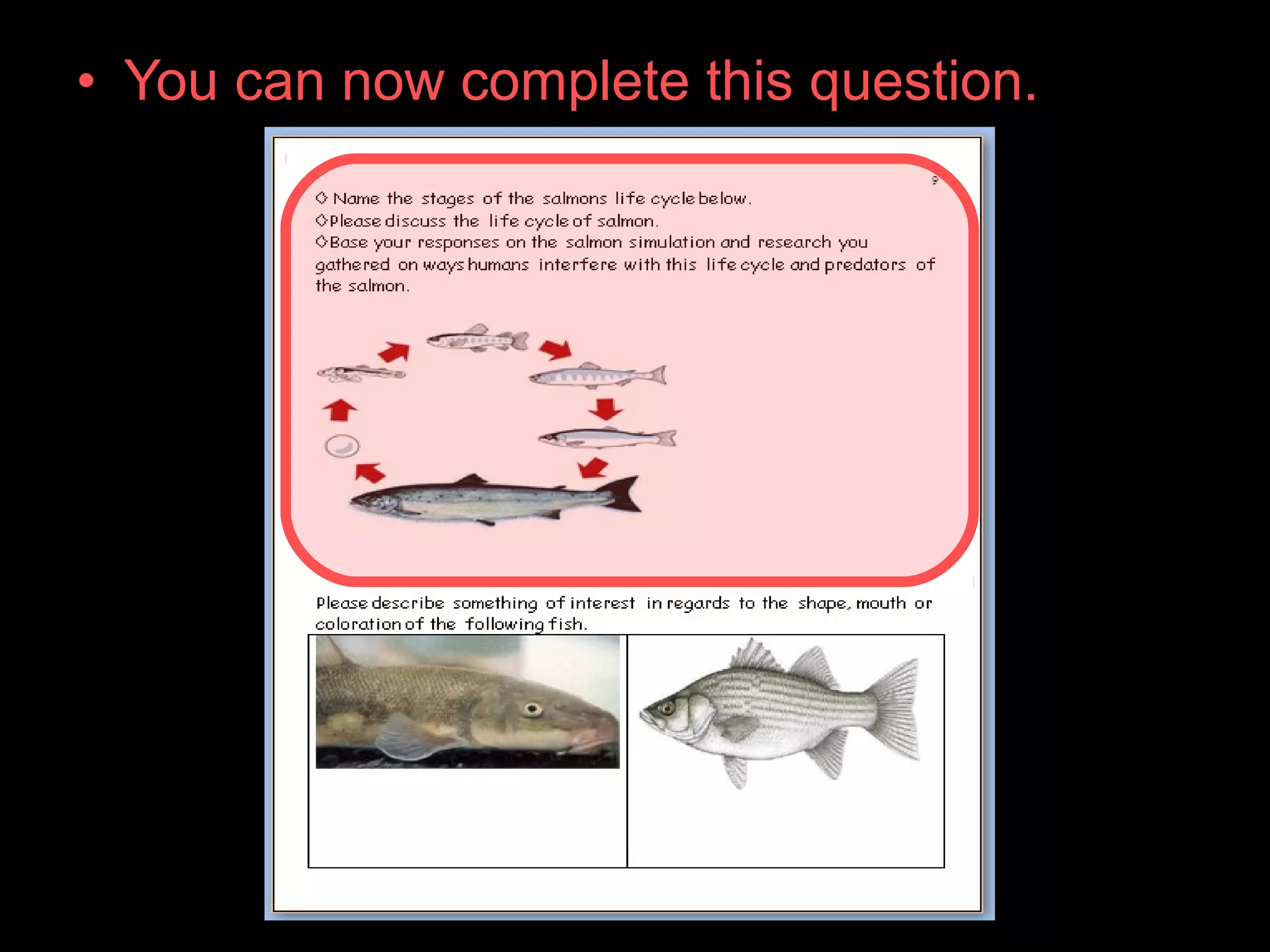 • You can now complete this question.
 