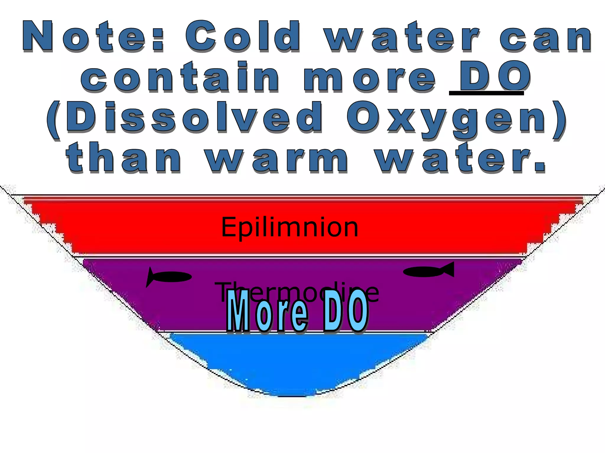 Epilimnion
Thermocline
 