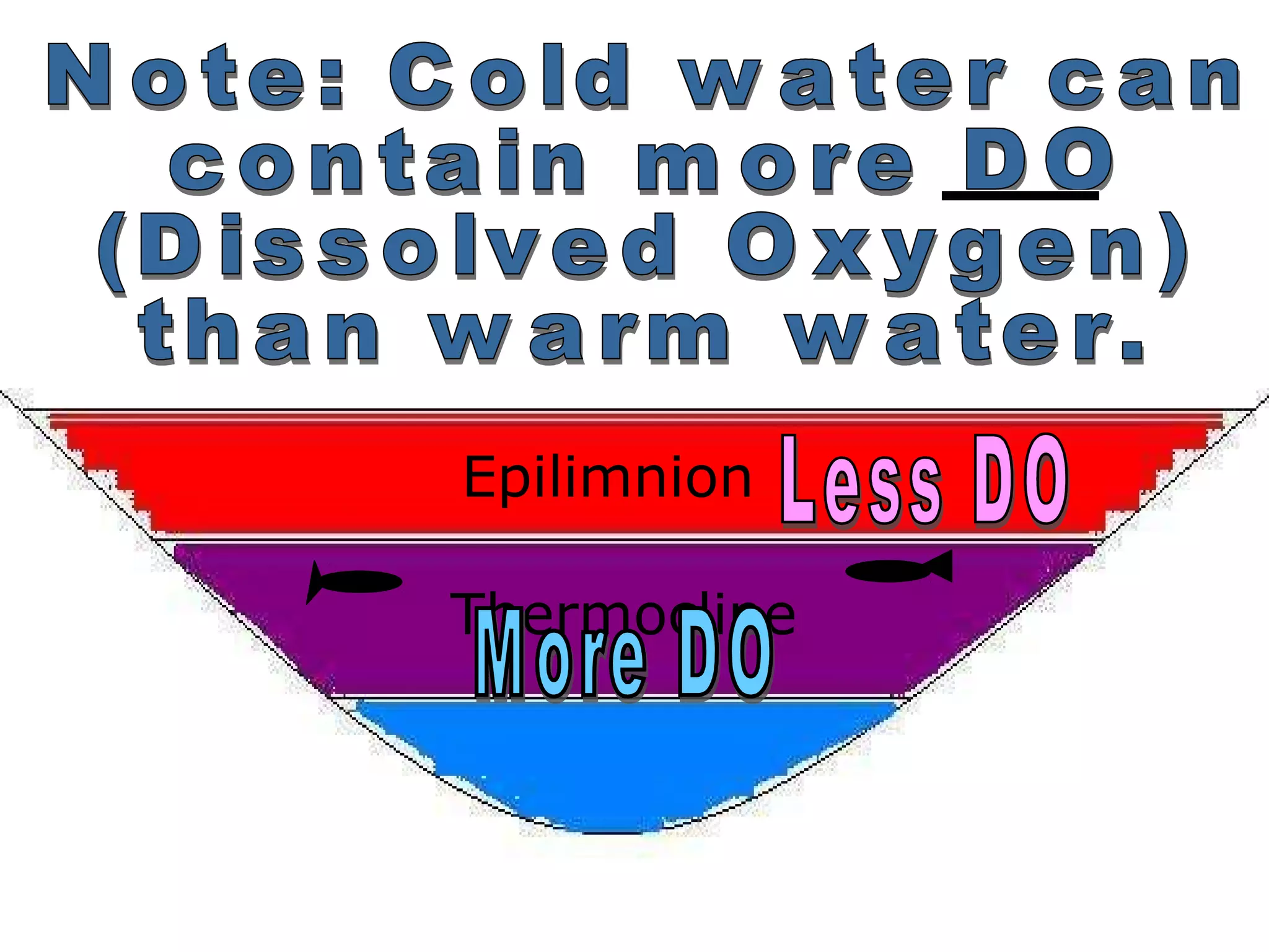 Epilimnion
Thermocline
 