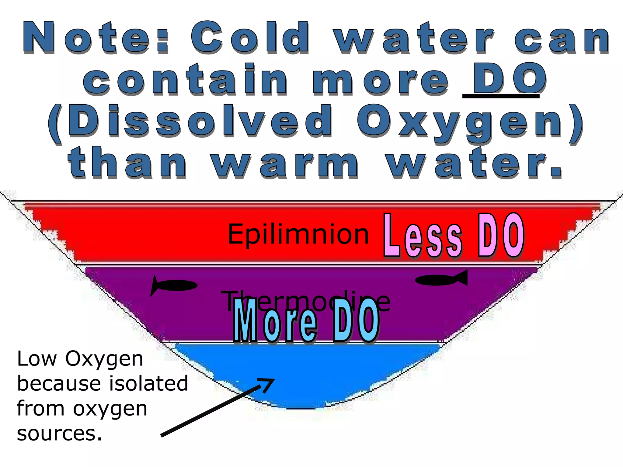 Epilimnion
Thermocline
Low Oxygen
because isolated
from oxygen
sources.
 