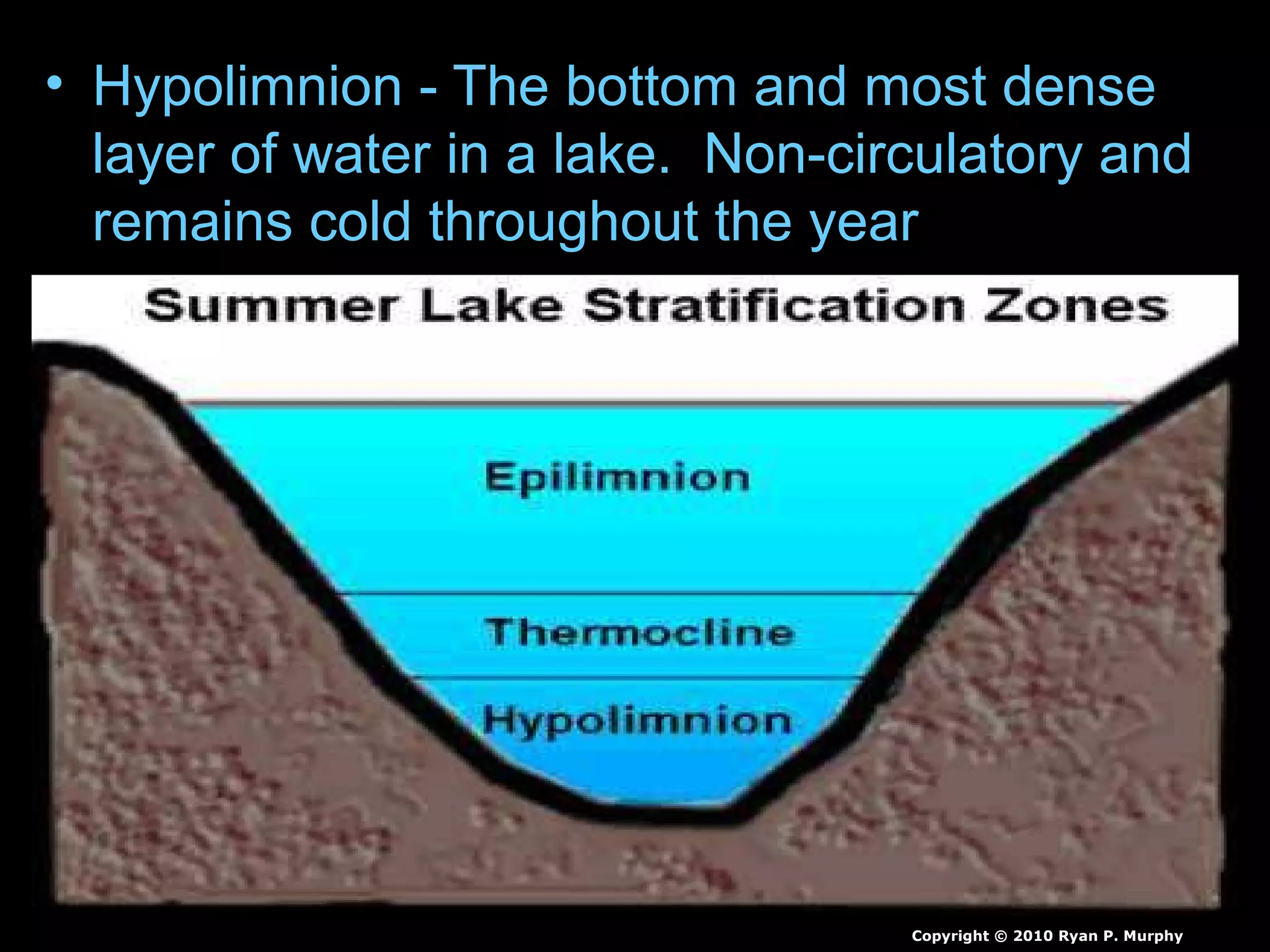• Hypolimnion - The bottom and most dense
layer of water in a lake. Non-circulatory and
remains cold throughout the year
Copyright © 2010 Ryan P. Murphy
 