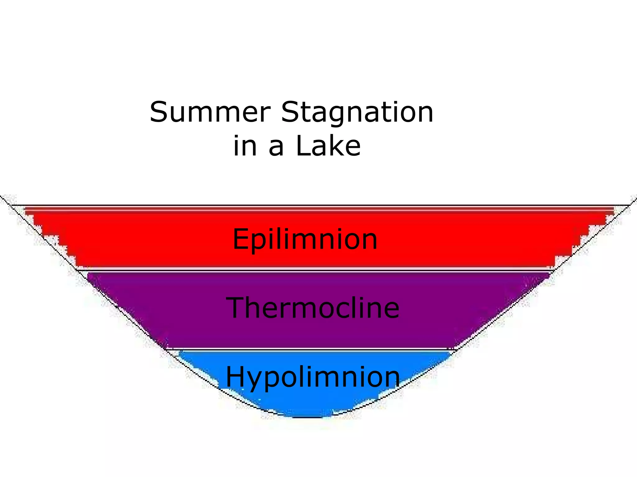 Epilimnion
Thermocline
Hypolimnion
Summer Stagnation
in a Lake
 