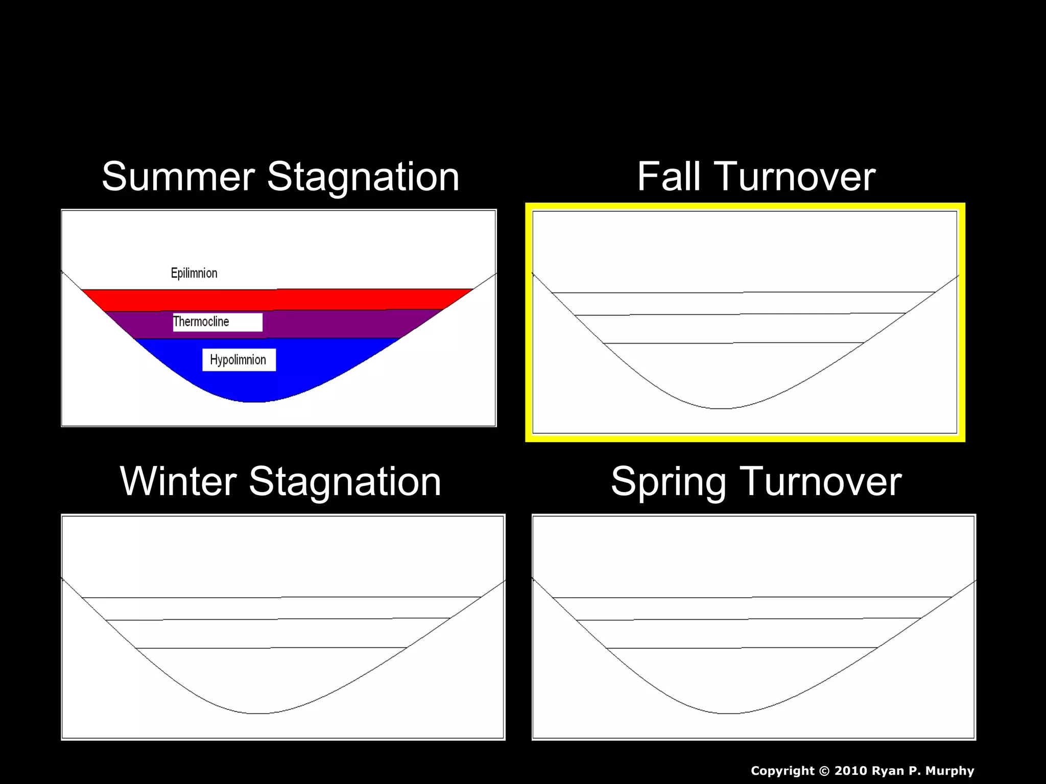 Summer Stagnation Fall Turnover
Winter Stagnation Spring Turnover
Copyright © 2010 Ryan P. Murphy
 