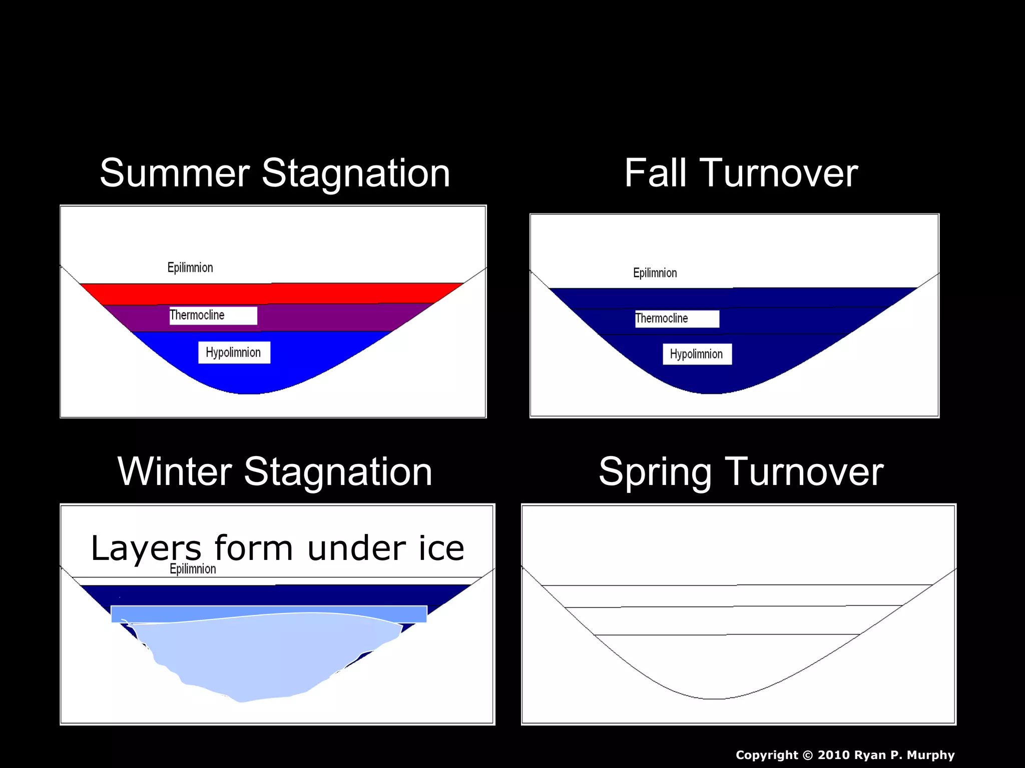 Summer Stagnation Fall Turnover
Winter Stagnation Spring Turnover
Copyright © 2010 Ryan P. Murphy
Layers form under ice
 