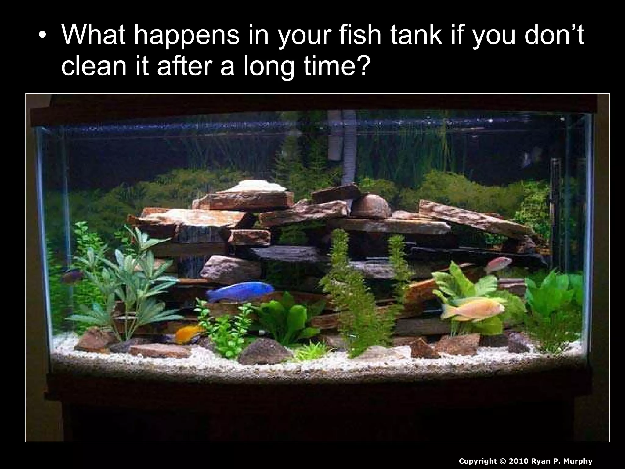 • What happens in your fish tank if you don’t
clean it after a long time?
Copyright © 2010 Ryan P. Murphy
 