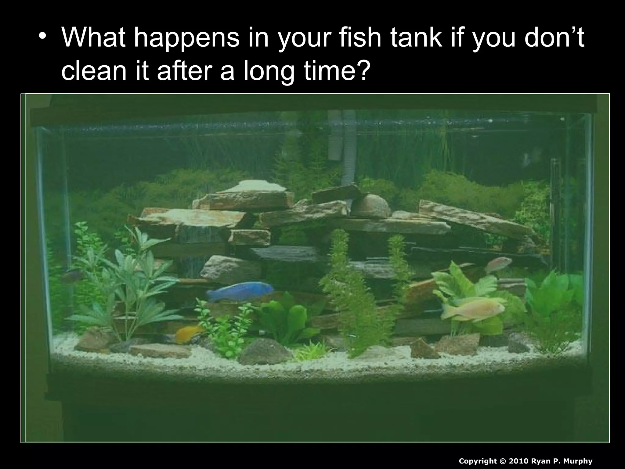 • What happens in your fish tank if you don’t
clean it after a long time?
Copyright © 2010 Ryan P. Murphy
 