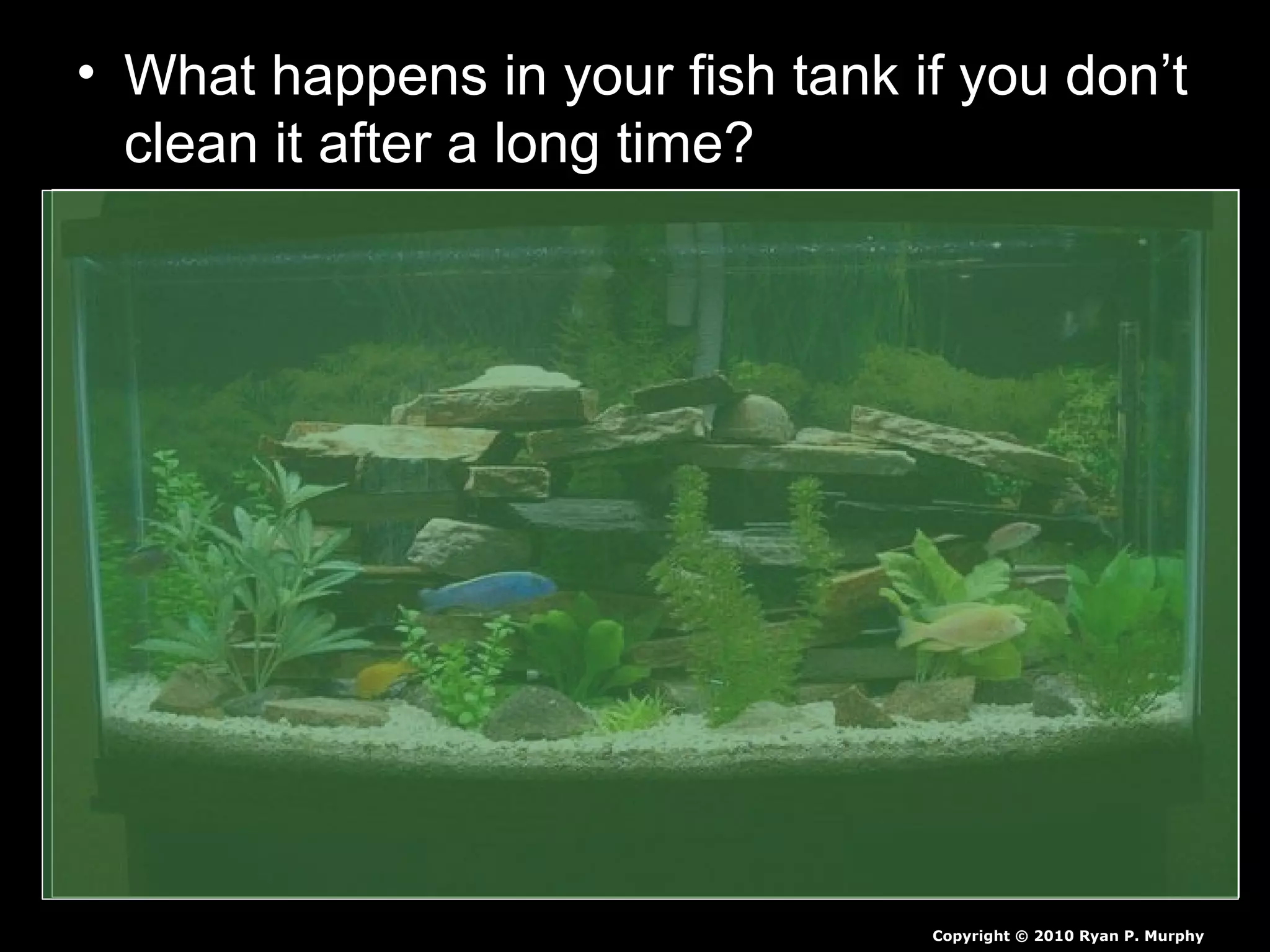 • What happens in your fish tank if you don’t
clean it after a long time?
Copyright © 2010 Ryan P. Murphy
 
