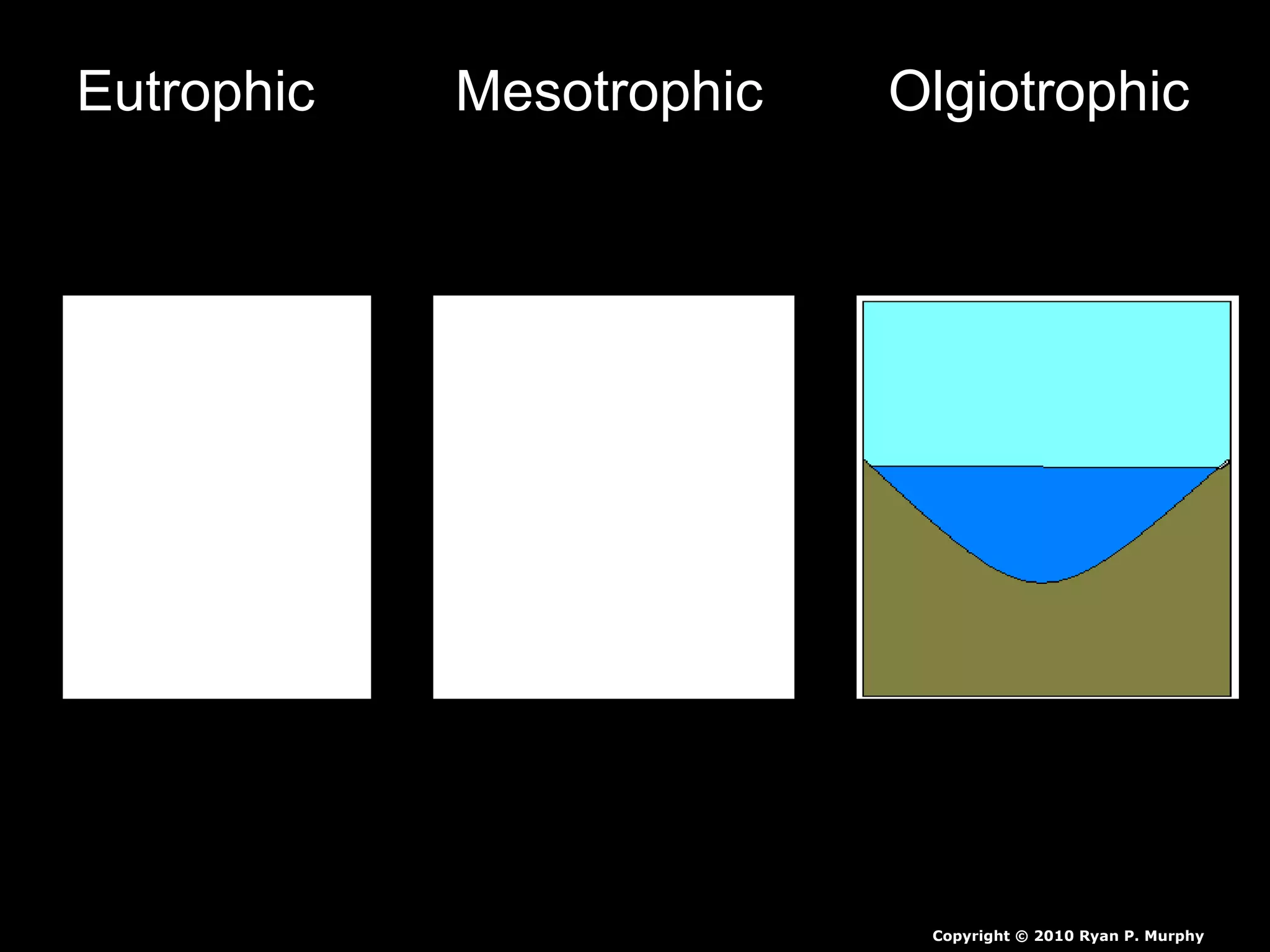 Eutrophic Mesotrophic Olgiotrophic
Copyright © 2010 Ryan P. Murphy
 