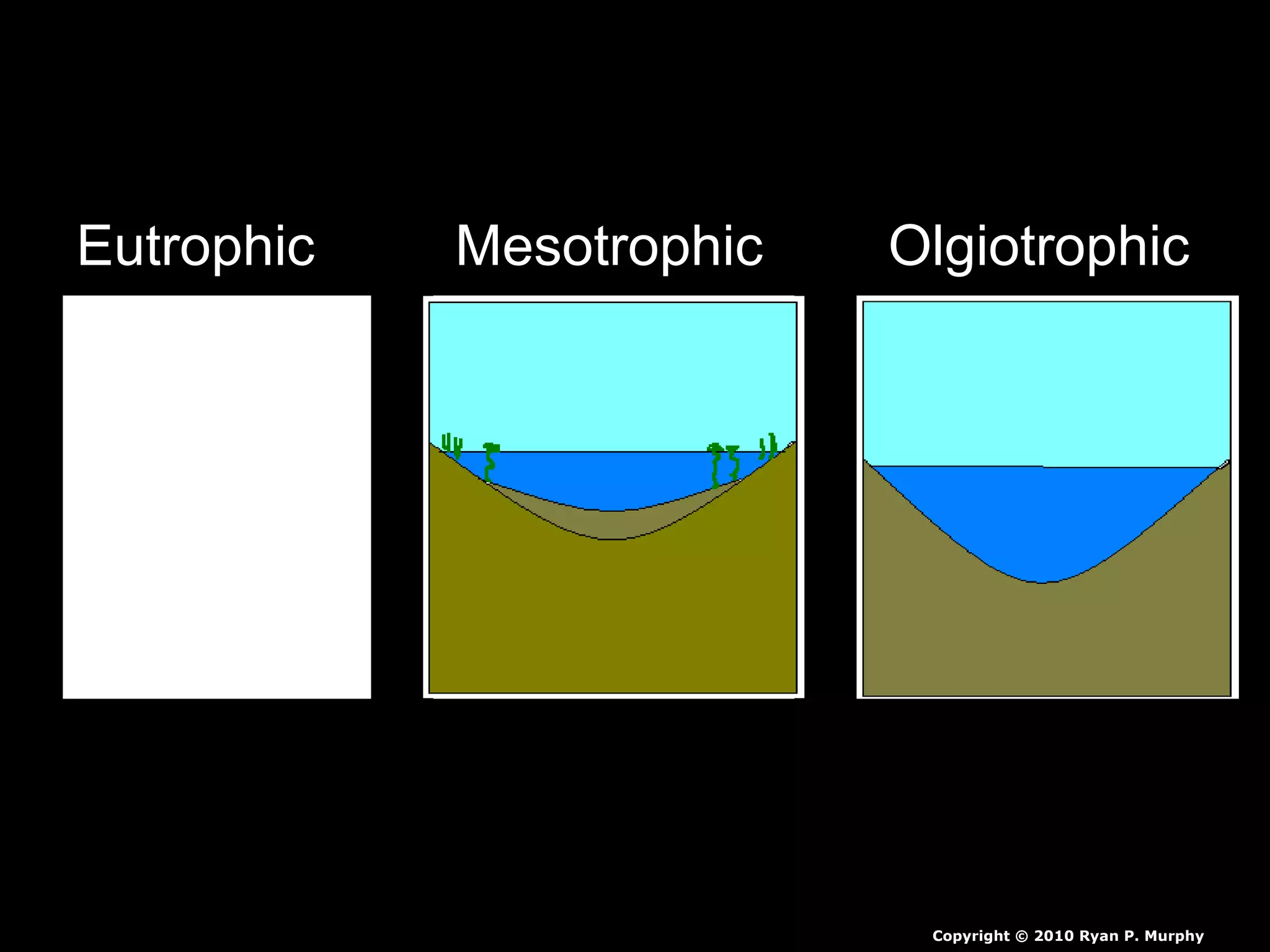 Eutrophic Mesotrophic Olgiotrophic
Copyright © 2010 Ryan P. Murphy
 