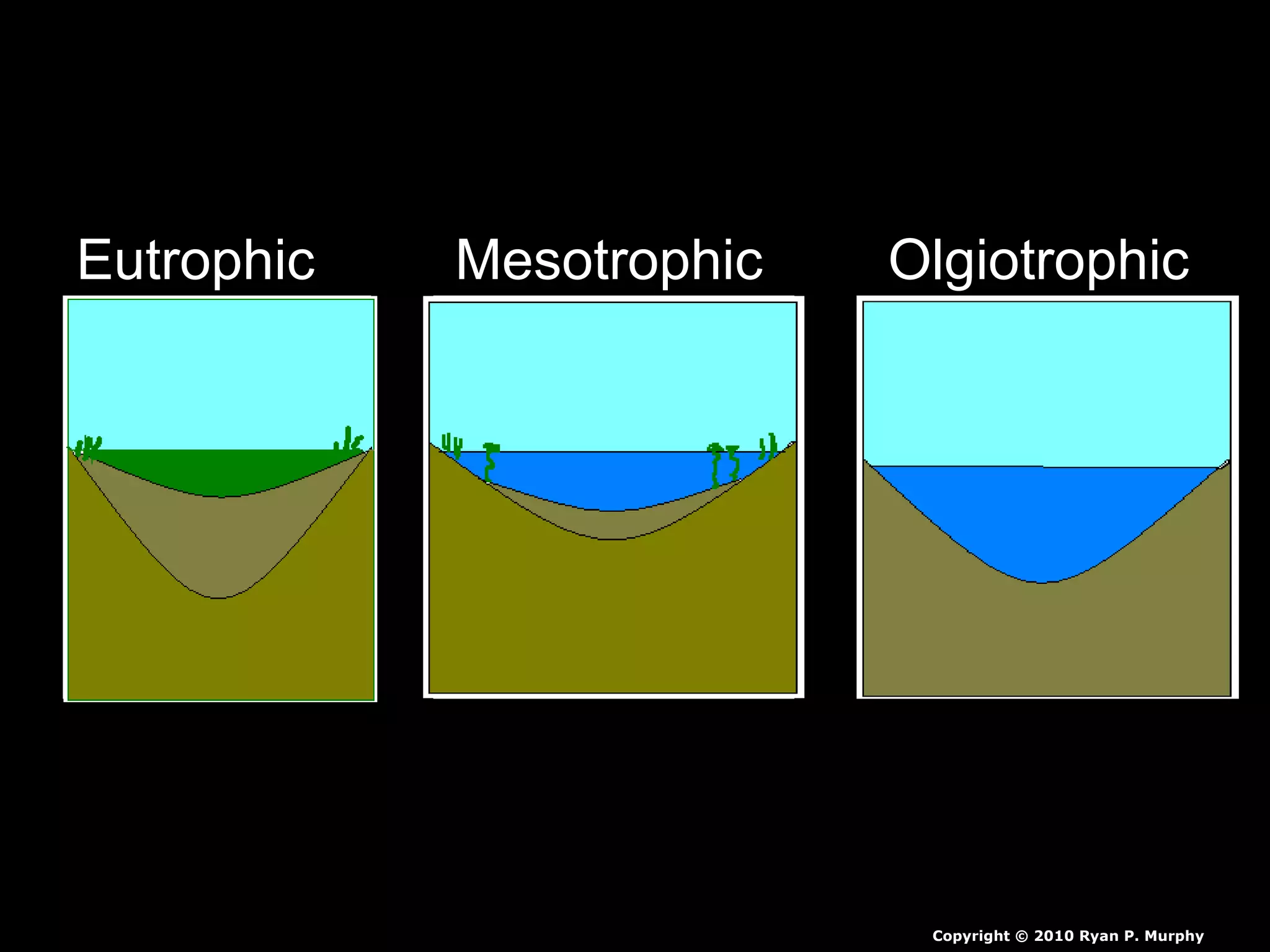 Eutrophic Mesotrophic Olgiotrophic
Copyright © 2010 Ryan P. Murphy
 