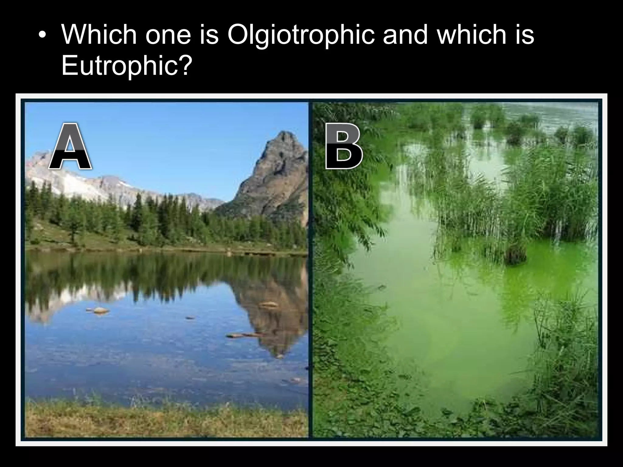 • Which one is Olgiotrophic and which is
Eutrophic?
 