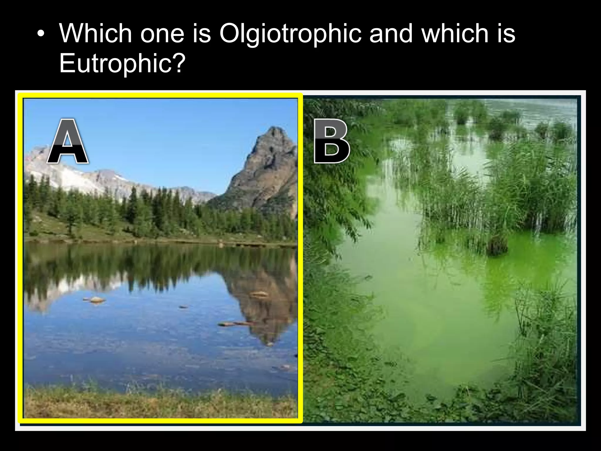 • Which one is Olgiotrophic and which is
Eutrophic?
 