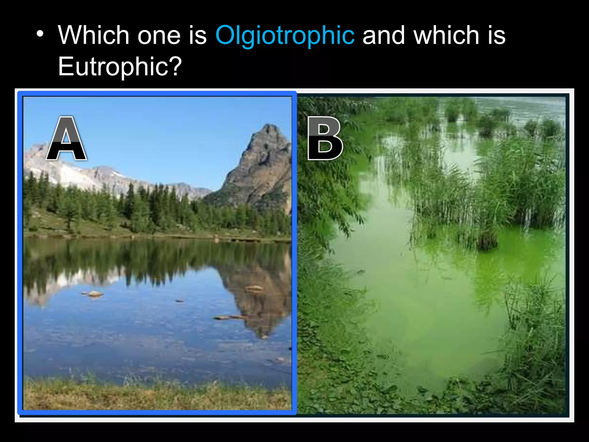 • Which one is Olgiotrophic and which is
Eutrophic?
 