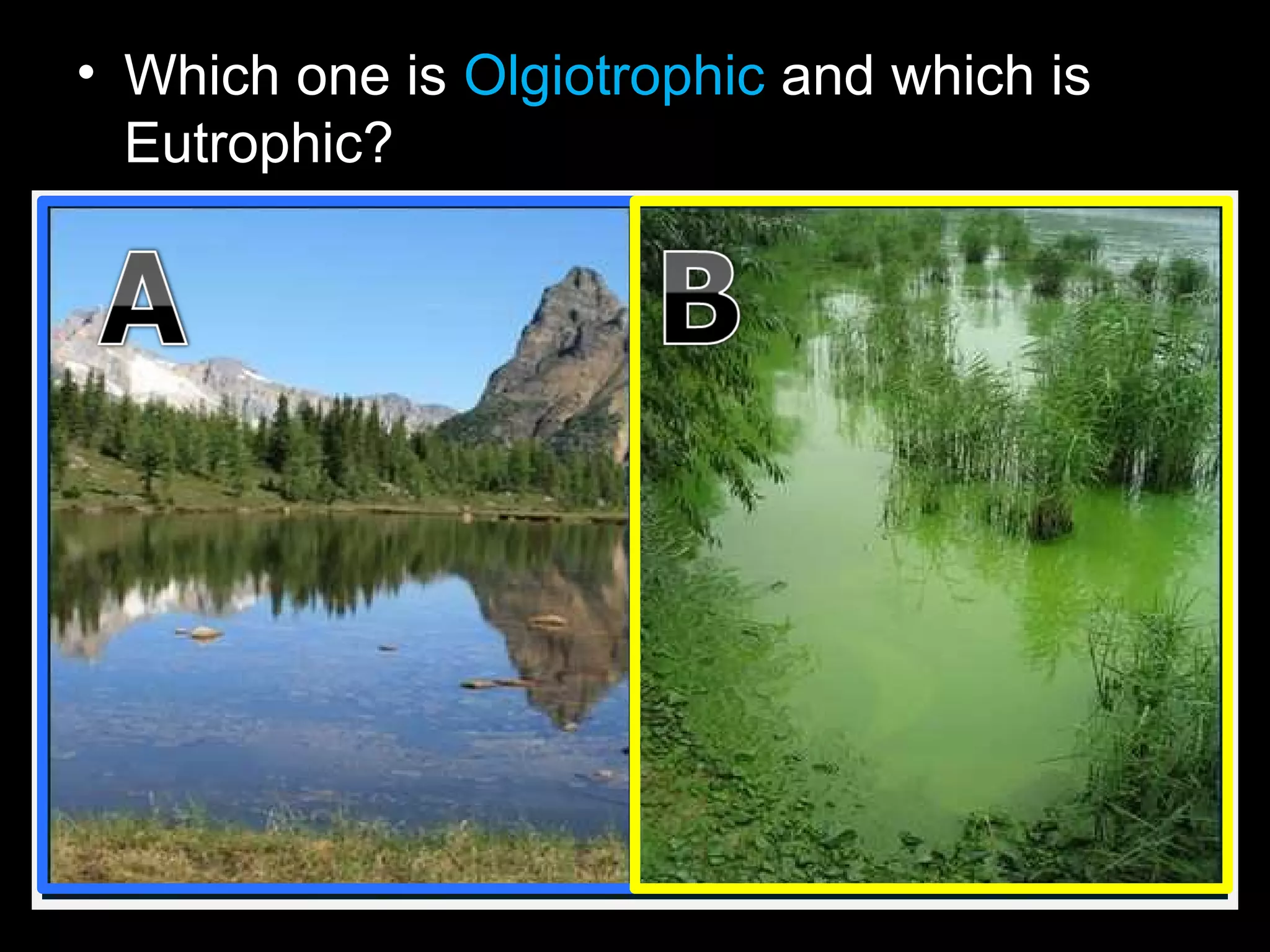 • Which one is Olgiotrophic and which is
Eutrophic?
 