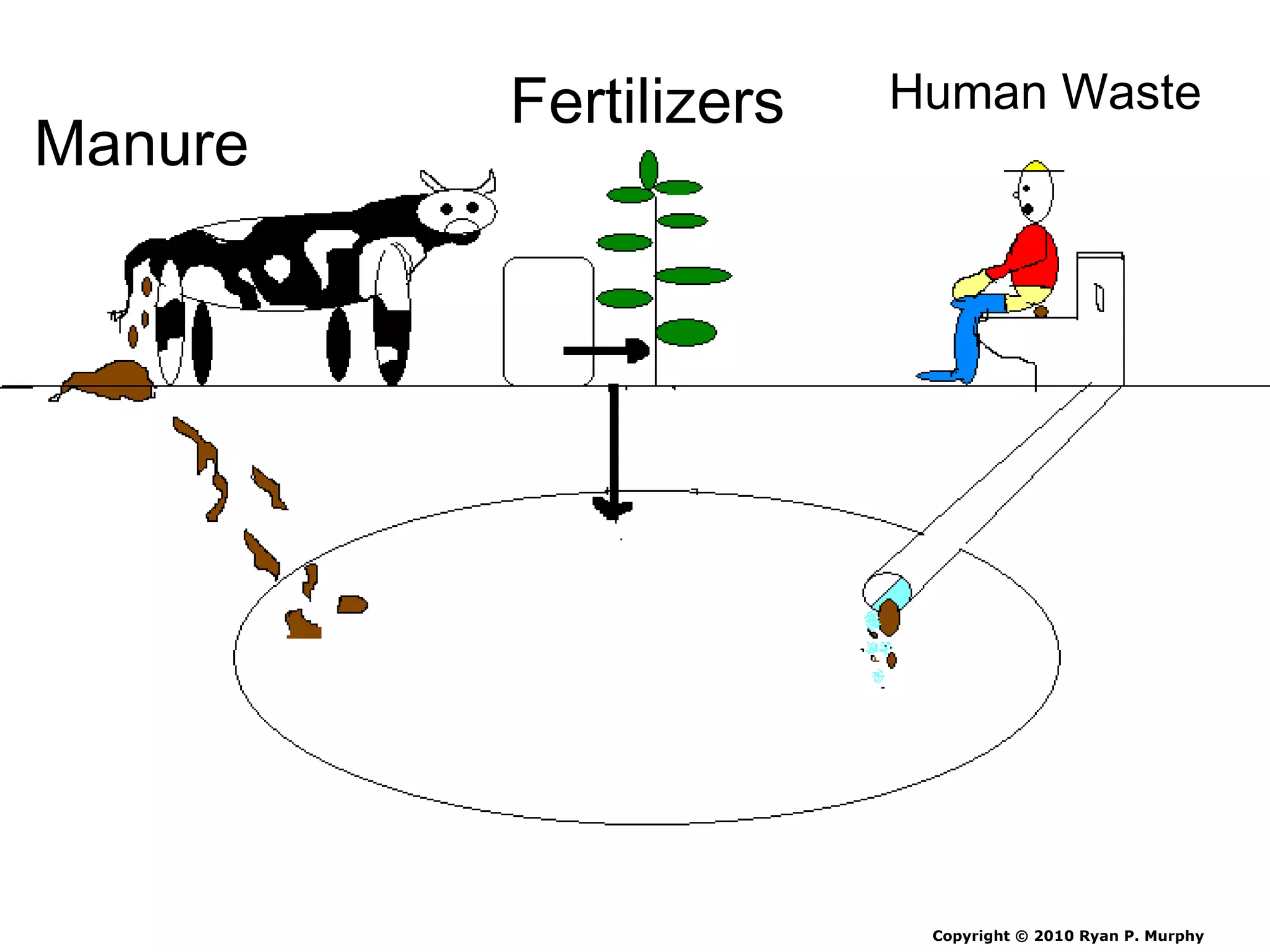 Fertilizers Human Waste
Manure
Copyright © 2010 Ryan P. Murphy
 