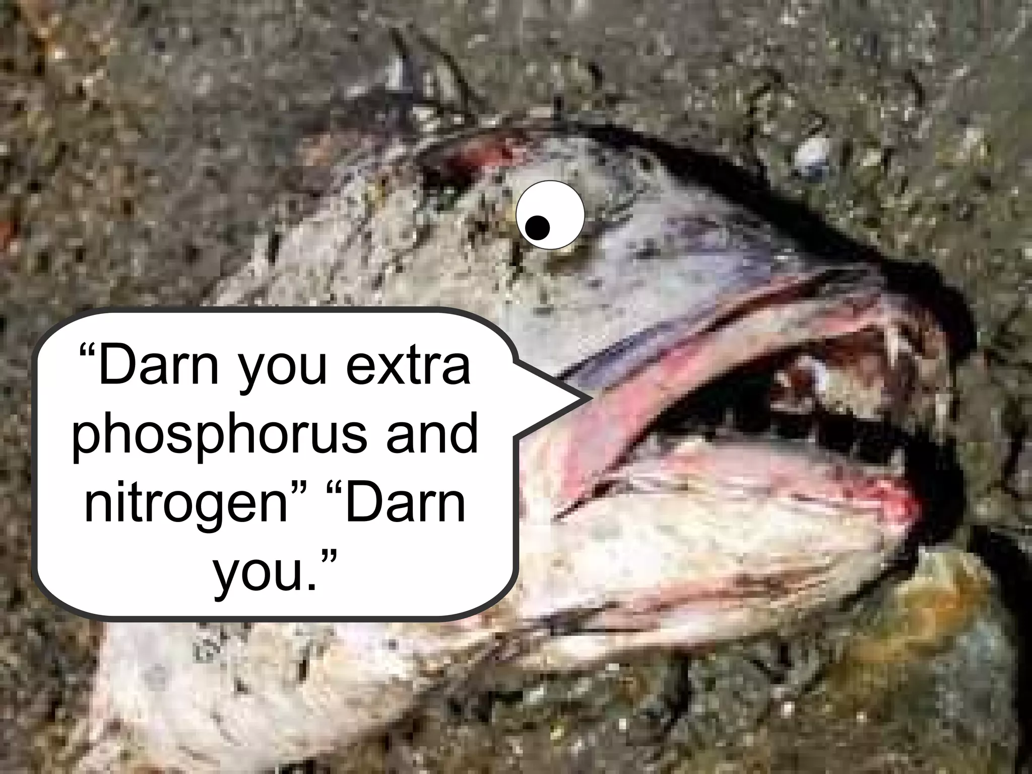 “Darn you extra
phosphorus and
nitrogen” “Darn
you.”
 