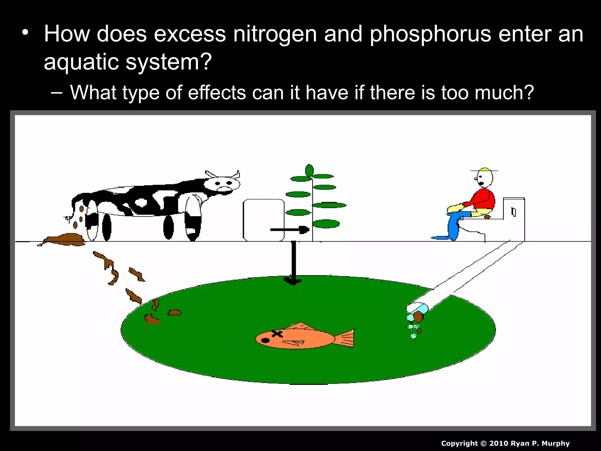 • How does excess nitrogen and phosphorus enter an
aquatic system?
– What type of effects can it have if there is too much?
Copyright © 2010 Ryan P. Murphy
 
