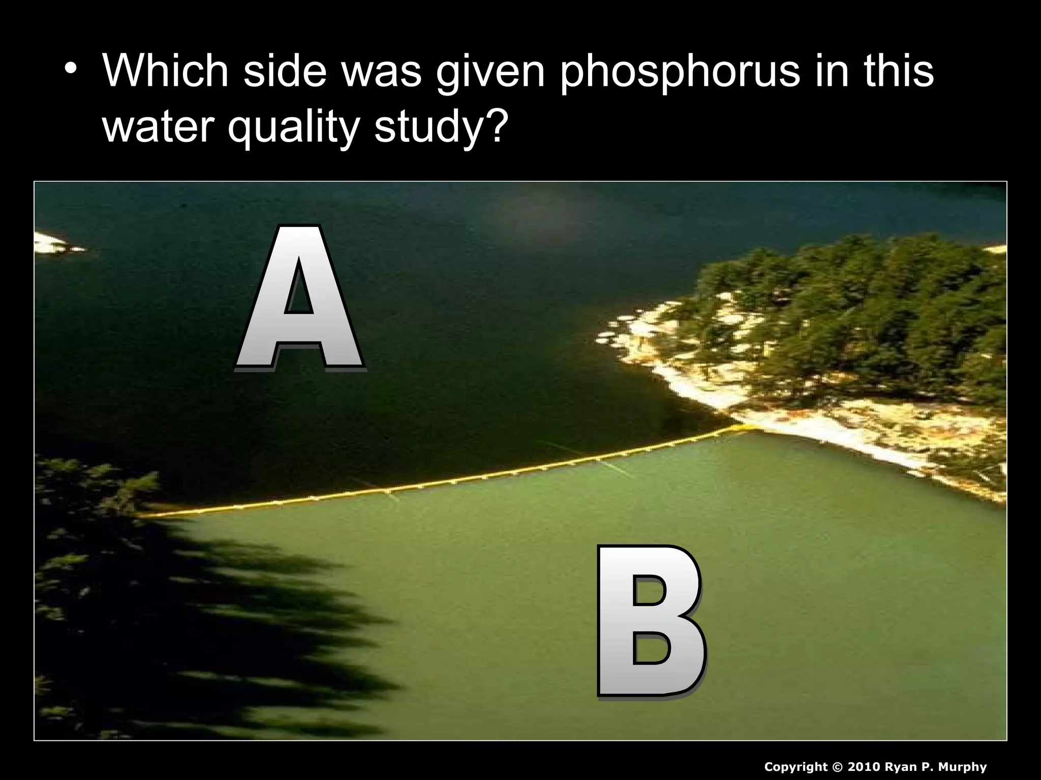 • Which side was given phosphorus in this
water quality study?
Copyright © 2010 Ryan P. Murphy
 