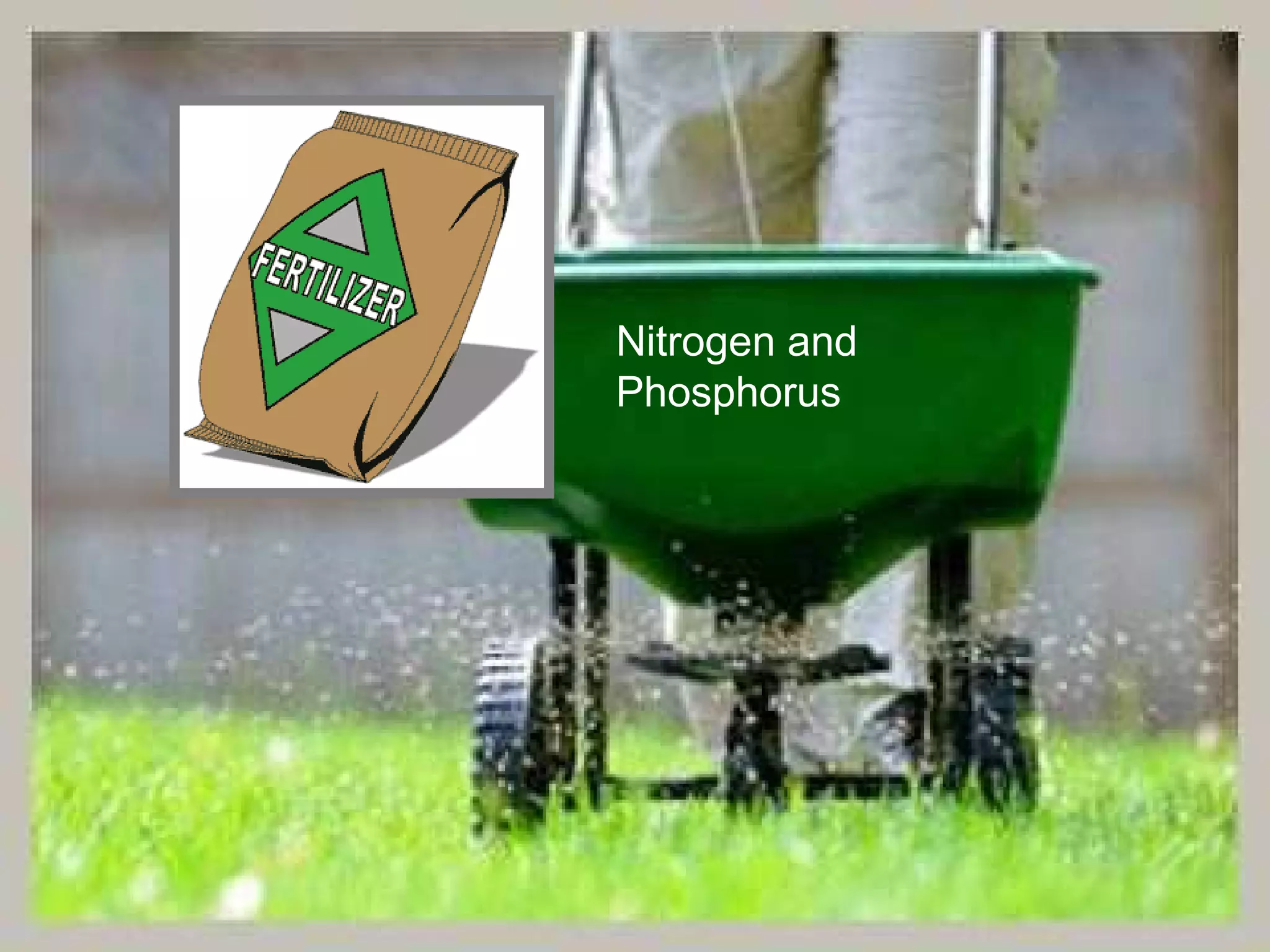Nitrogen and
Phosphorus
 