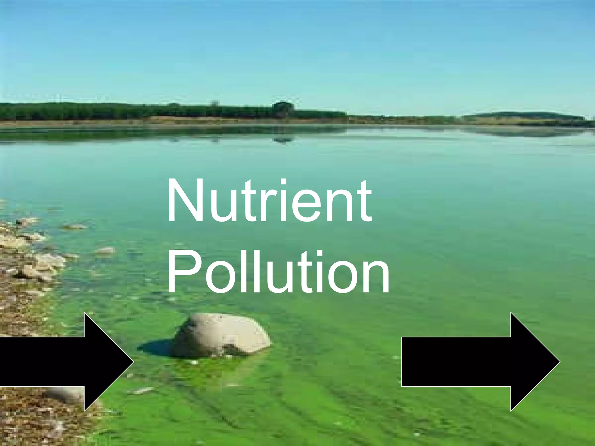 Nutrient
Pollution
 