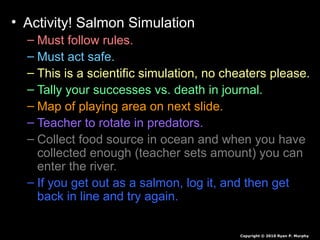 • Activity! Salmon Simulation
– Must follow rules.
– Must act safe.
– This is a scientific simulation, no cheaters please.
– Tally your successes vs. death in journal.
– Map of playing area on next slide.
– Teacher to rotate in predators.
– Collect food source in ocean and when you have
collected enough (teacher sets amount) you can
enter the river.
– If you get out as a salmon, log it, and then get
back in line and try again.
Copyright © 2010 Ryan P. Murphy
 