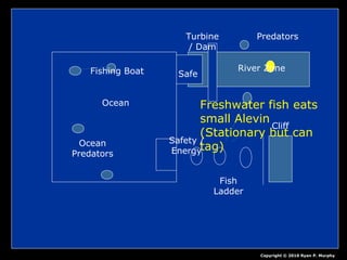 Ocean
Fishing Boat
Ocean
Predators
Safety /
Energy
Fish
Ladder
Cliff
Turbine
/ Dam
River Zone
Predators
Safe
Copyright © 2010 Ryan P. Murphy
Freshwater fish eats
small Alevin
(Stationary but can
tag)
 