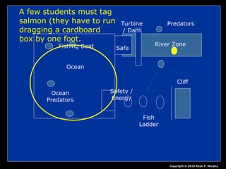 Ocean
Fishing Boat
Ocean
Predators
Safety /
Energy
Fish
Ladder
Cliff
Turbine
/ Dam
River Zone
Predators
Safe
Copyright © 2010 Ryan P. Murphy
A few students must tag
salmon (they have to run
dragging a cardboard
box by one foot.
 