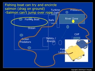 Ocean
Fishing Boat
Ocean
Predators
Safety /
Energy
Fish
Ladder
Cliff
Turbine
/ Dam
River Zone
Predators
Safe
Copyright © 2010 Ryan P. Murphy
Fishing boat can try and encircle
salmon (drag on ground)
-Salmon can’t jump over rope.
 