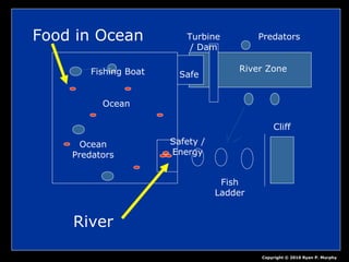 Ocean
Fishing Boat
Ocean
Predators
Safety /
Energy
Fish
Ladder
Cliff
Turbine
/ Dam
River Zone
Predators
Safe
Copyright © 2010 Ryan P. Murphy
Food in Ocean
River
 