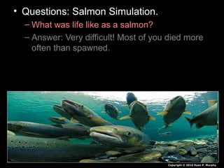 • Questions: Salmon Simulation.
– What was life like as a salmon?
– Answer: Very difficult! Most of you died more
often than spawned.
Copyright © 2010 Ryan P. Murphy
 