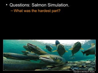 • Questions: Salmon Simulation.
– What was the hardest part?
Copyright © 2010 Ryan P. Murphy
 