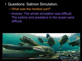 • Questions: Salmon Simulation.
– What was the hardest part?
– Answer: The whole simulation was difficult.
The turbine and predators in the ocean were
difficult.
Copyright © 2010 Ryan P. Murphy
 