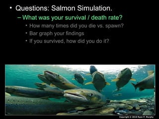 • Questions: Salmon Simulation.
– What was your survival / death rate?
• How many times did you die vs. spawn?
• Bar graph your findings
• If you survived, how did you do it?
Copyright © 2010 Ryan P. Murphy
 